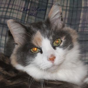 2011_12_12_0181 2 x 2 Signed