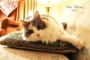 2012_03_31_0838 SIGNED