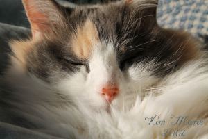 2013_03_03_4307 SIGNED