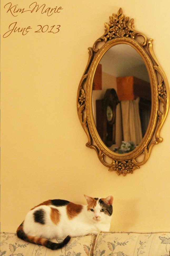 Calico cat on the back of a couch with an ornate mirror behind her.
