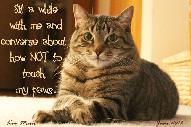 A tiger kitty sitting with one paw crossed over the other. She says, "Sit a while with me and converse about how NOT to touch my paws."