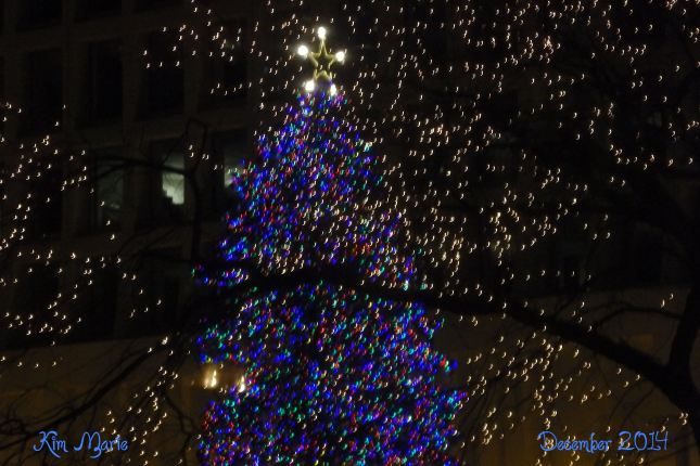 A pine tree, outside at night, lite with blue lights and a white star on top.