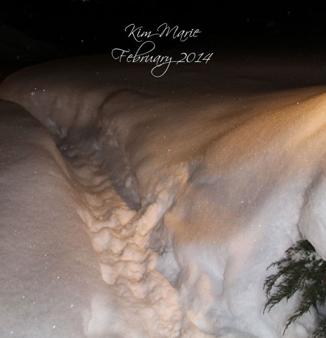 Narrow path to our front door because the snow just kept coming, and I didn't shovel it wide enough to begin with. Just enough to walk through, but still get some snow on your pants coming to the door.