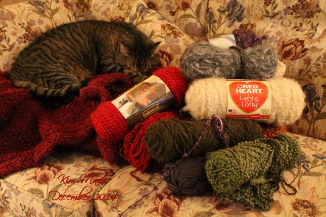 Gray tiger cat resting on a blanket and surrounded by yarn and yarn and more yarn is dark colors that cooridnate with the floral brown and red and moss couch.