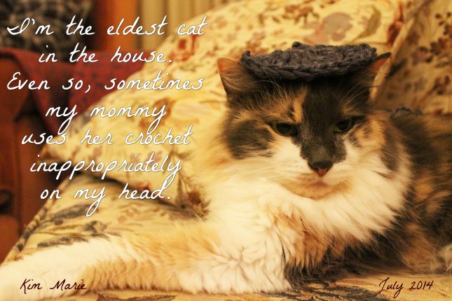 A kitty with a crocheted circle on her head. She says, "I'm the eldest cat in the house. Even so, my mommy sometimes puts innappropriate crocheted objects on my head."