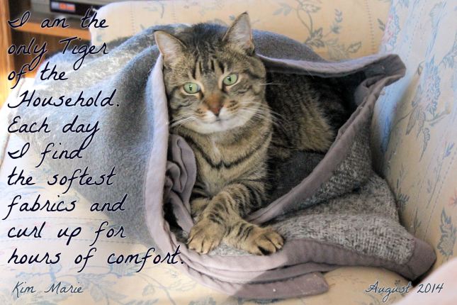 Black and gray tiger kitty in a gray blanket. She says, "I am the only Tiger cat in the Household. Each day I find the softest fabriccs and curl up for hours of comfort."