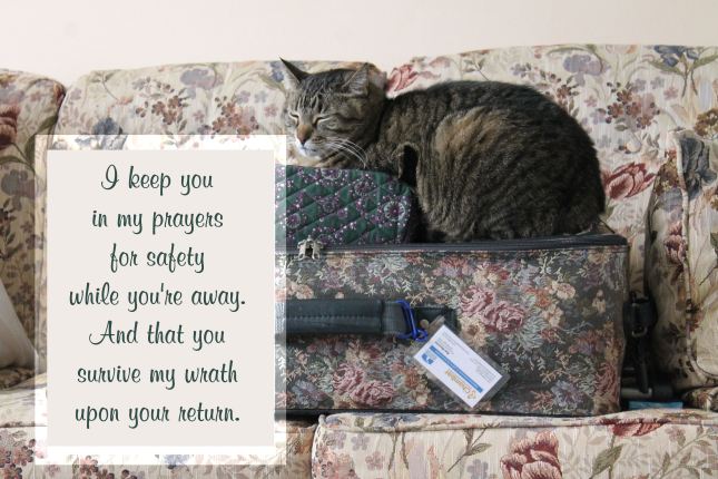 A gray tiger kitty sitting on a suitcase says, "I keep you in my prayers for safety while you're away. And that you survive my wrath upon your return."