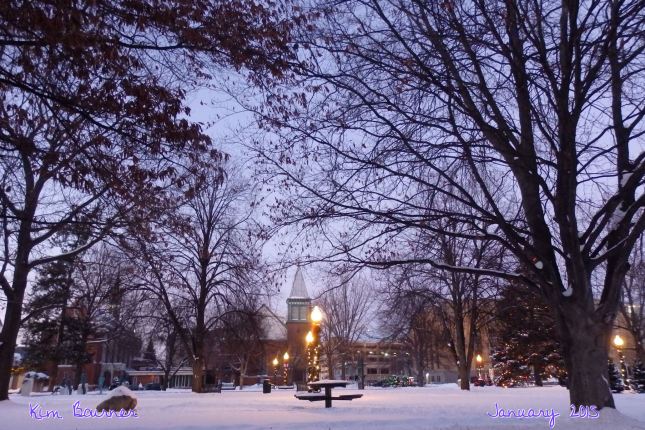 Winter in Bronson Park with the City offices and churches on the far side of the park. Christmas lights in the middle on the pine trees and light poles.