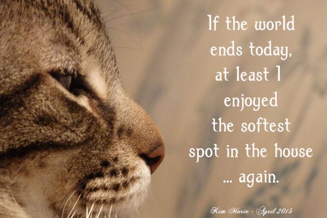 The profile of a tiger cat's face saying,