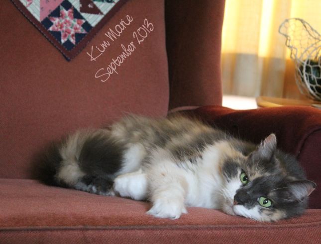Calico cat laying on a chair on her side.