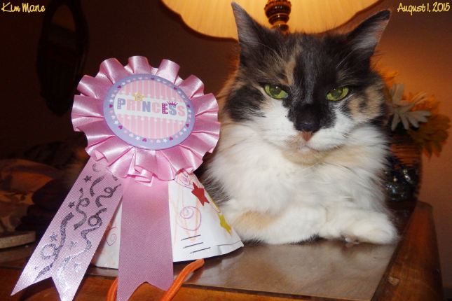 A princess award-like thing and a calico cat with her shiny green eyes and white chest looking at you.