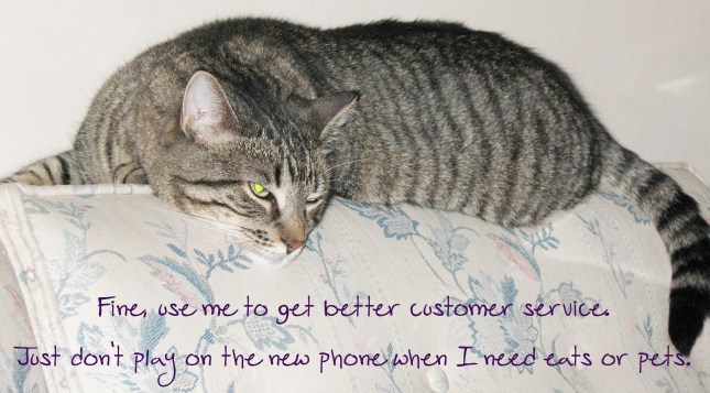 IMG_5536 SIGNED Shorter