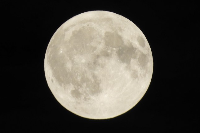 20170905_223217-DSCN0173 TIGHTER