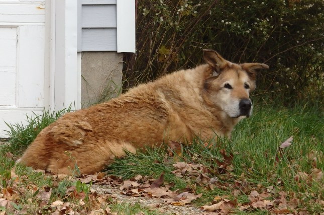 20171107_155149-O-SMALL