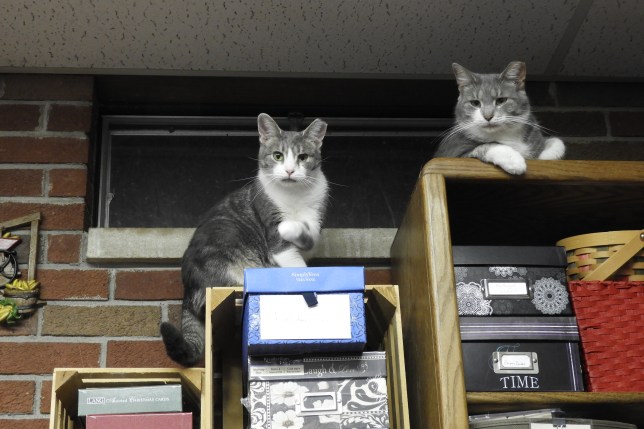 2018-09-05_2250-DSCN3263