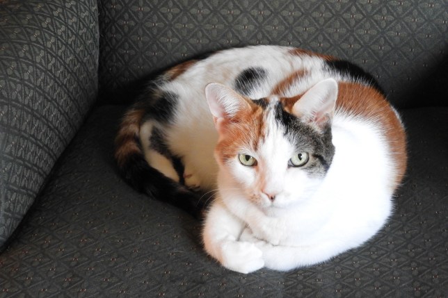 2018-09-22_2753-DSCN3781