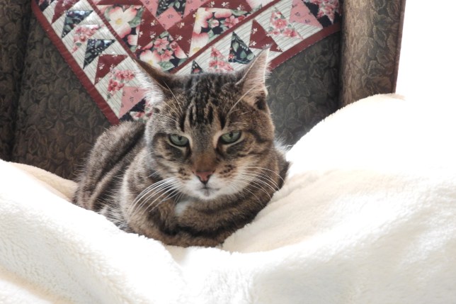 2018-10-04_2905-DSCN3945