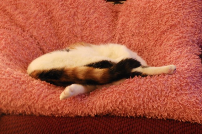 2018-03-10_0638-DSCN1450