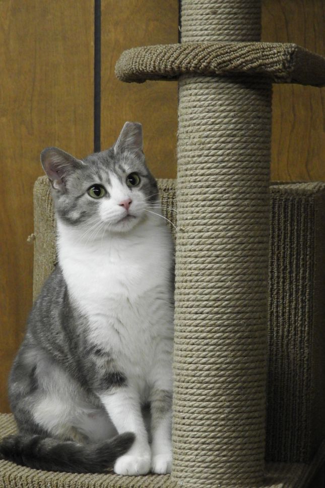 2018-04-27_1074-DSCN1983