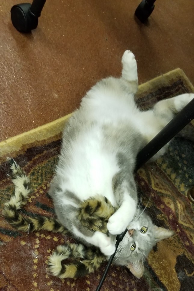 2018-05-30 23.58.23 SMALLER